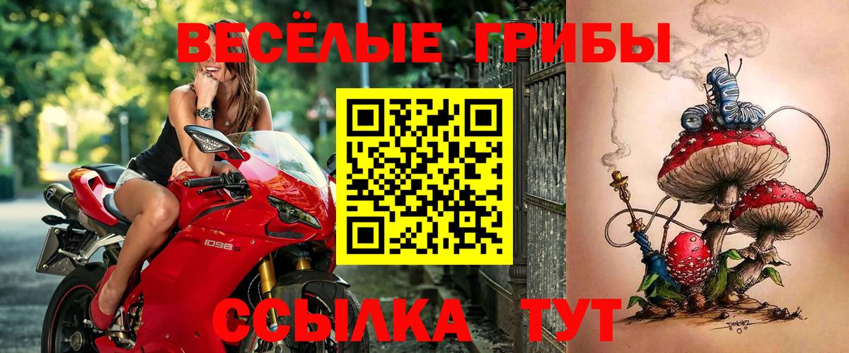 как найти закладки  Вход с VPN  Муравленко  Галлюциногенные грибы GOLDEN TEACHER 