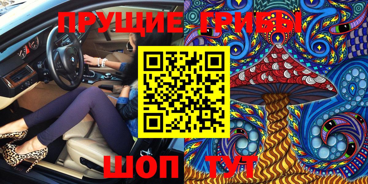 Галлюциногенные грибы Psilocybe Муравленко